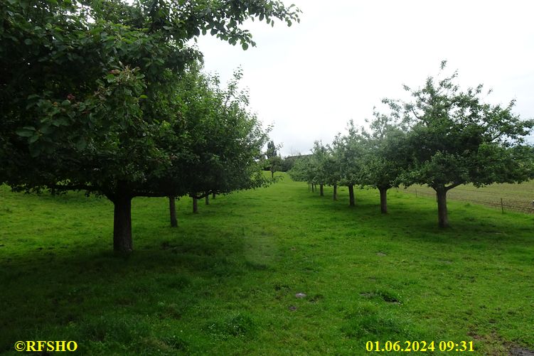 65. Schweizerischer Zweitagemarsch