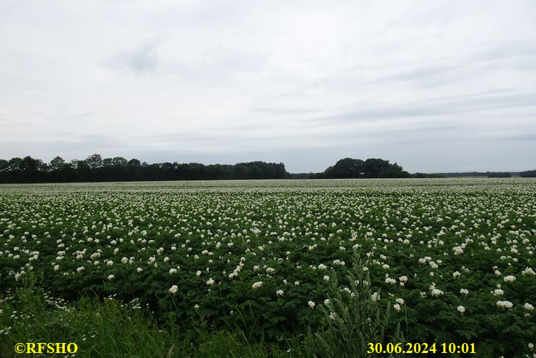 Hærvejsmarchen, 2. Tag