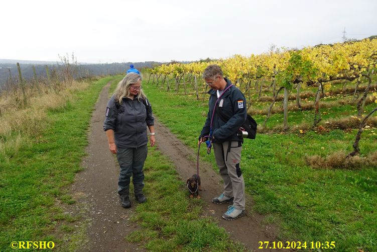 Marschstrecke 10 und 20 km