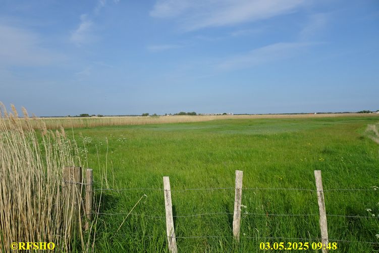 De Tweedaagse Voettocht