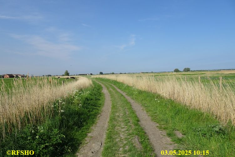 De Tweedaagse Voettocht