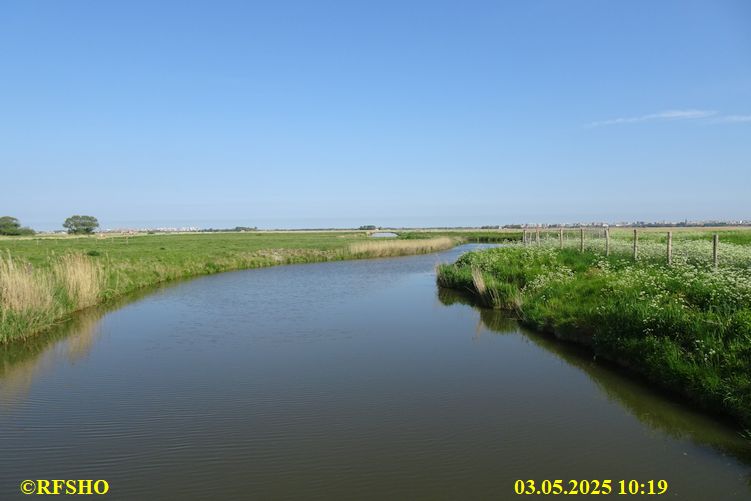 De Tweedaagse Voettocht