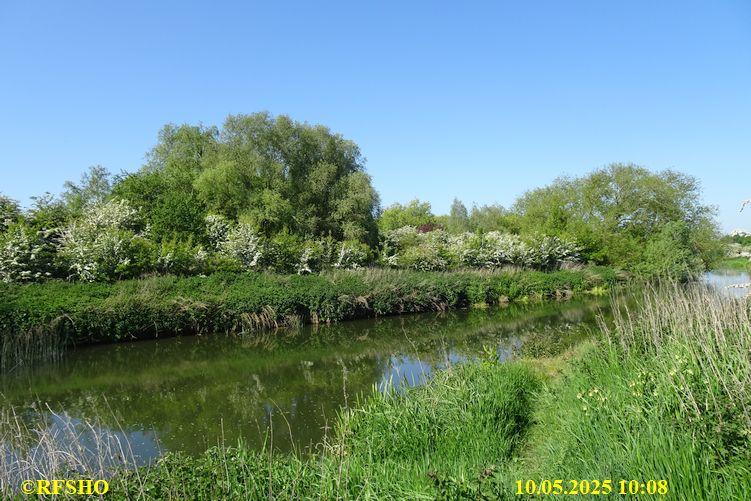 International Waendel walk