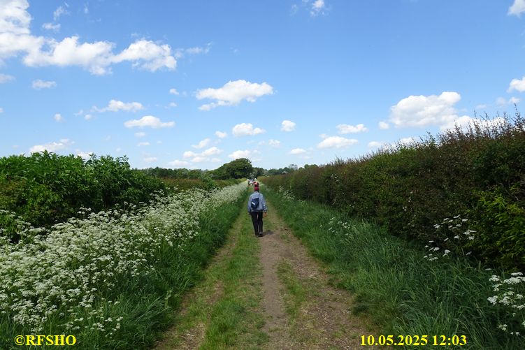 International Waendel walk
