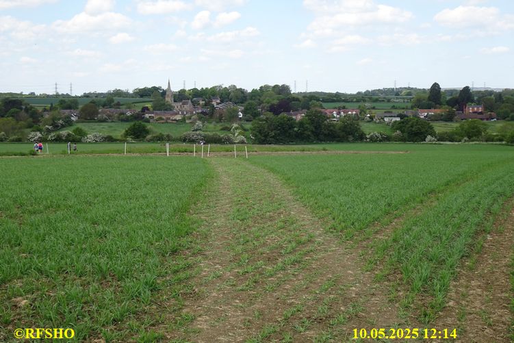 International Waendel walk