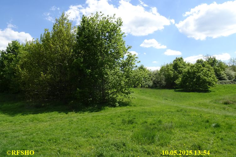 International Waendel walk