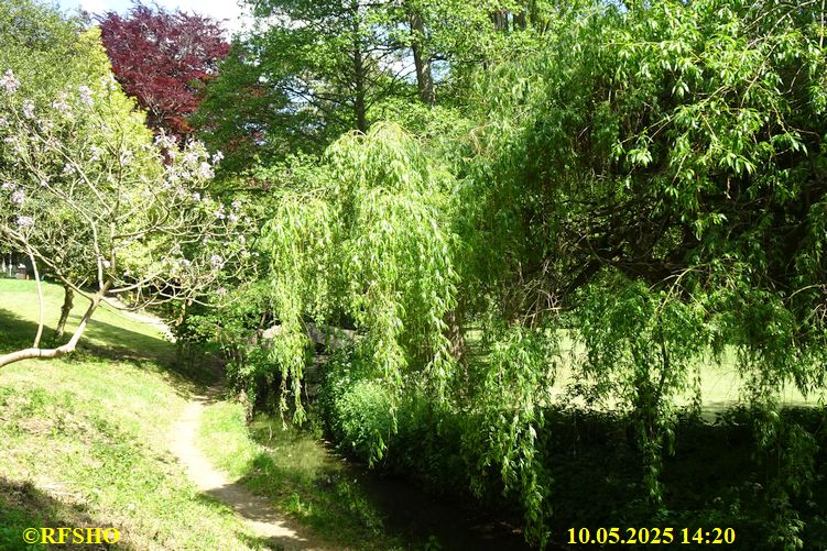 International Waendel walk