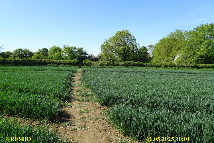 International Waendel walk