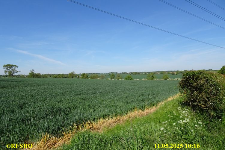 International Waendel walk