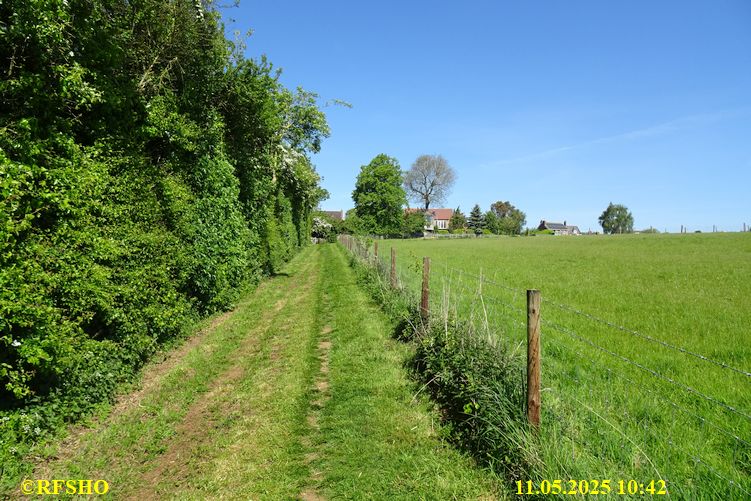 International Waendel walk