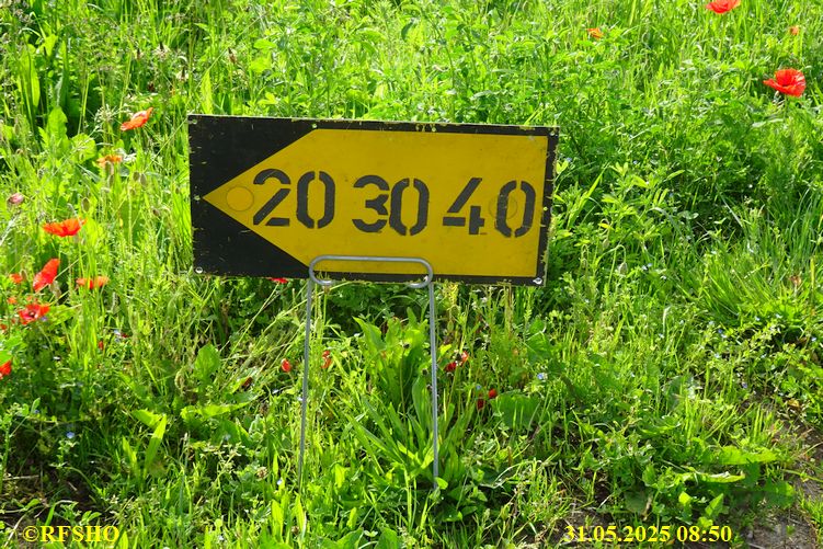 66. Schweizerischer Zweitagemarsch