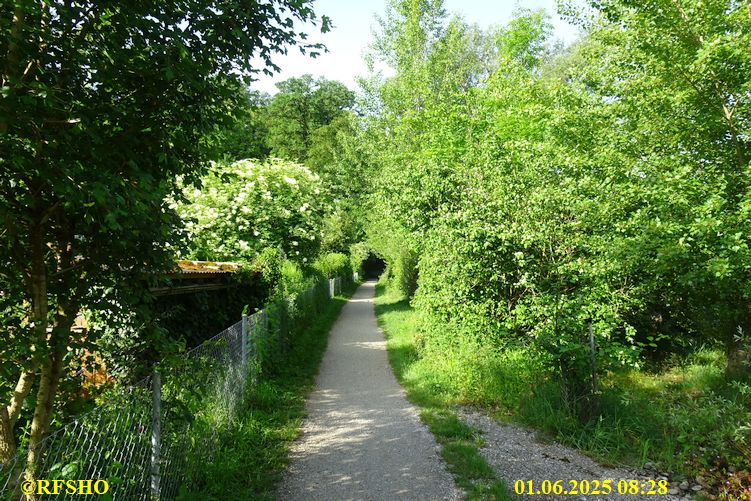 66. Schweizerischer Zweitagemarsch
