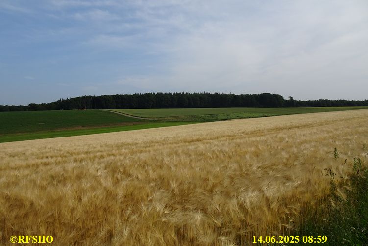 Marche Internationale de Diekirch