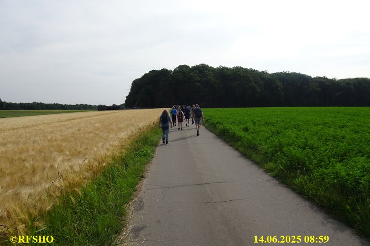 Marche Internationale de Diekirch