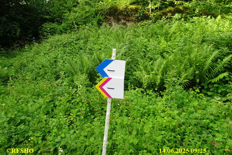 Marche Internationale de Diekirch