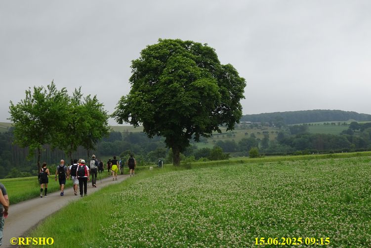 Marche Internationale de Diekirch