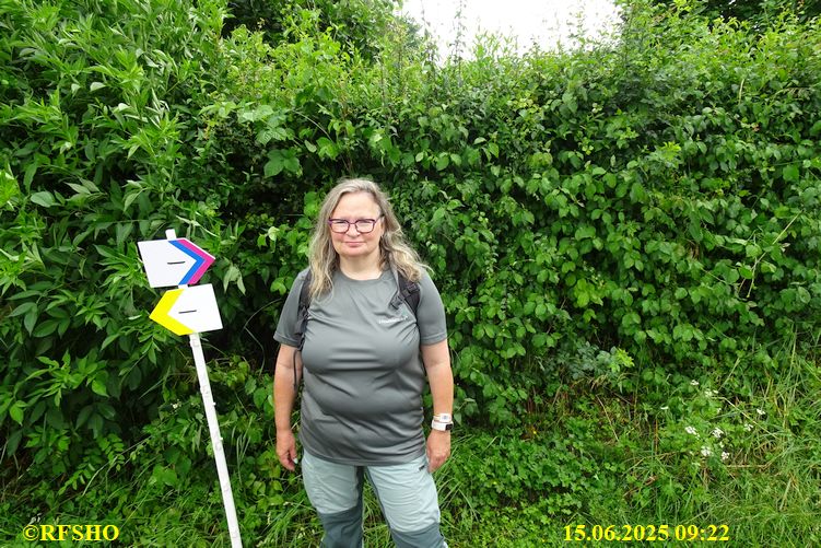 Marche Internationale de Diekirch