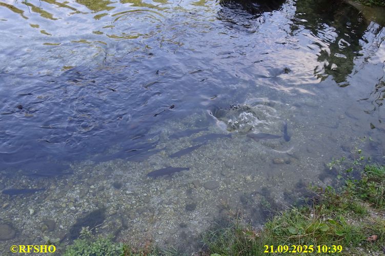 Einhornmarsch 3. Tag