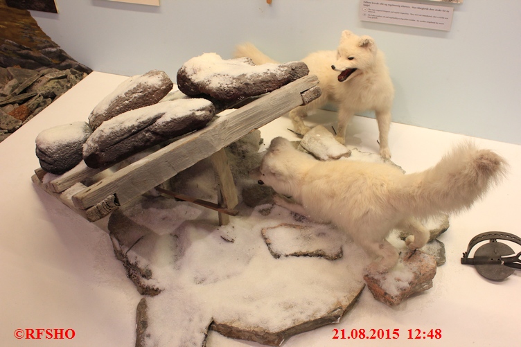 Tromsø, Polarmuseum