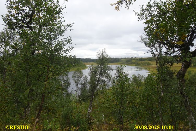 Sagamarsjen