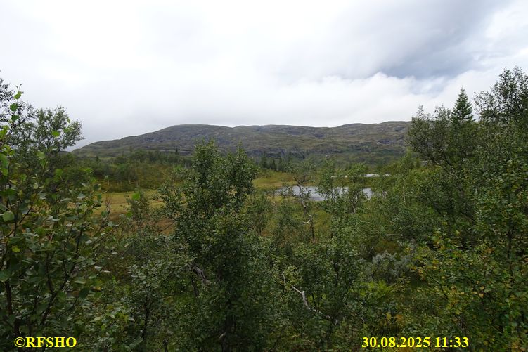 Sagamarsjen