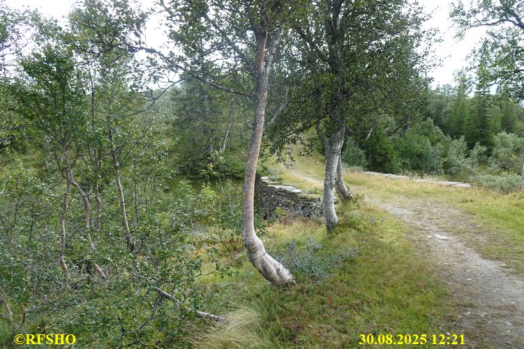 Sagamarsjen