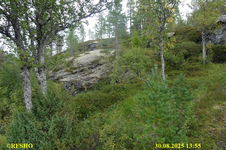 Sagamarsjen