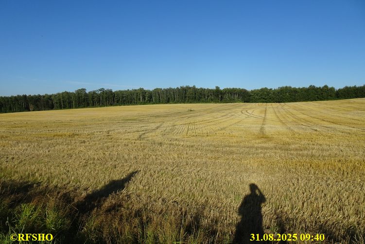Sagamarsjen, 2. Tag