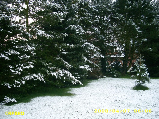 Der letzte Schnee 2008