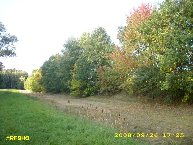 Herbst am Elbeseitenkanal