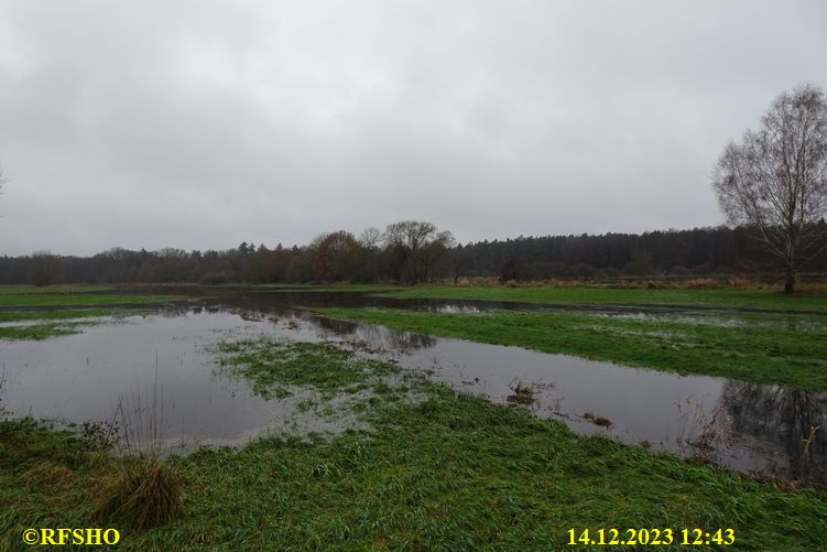 Talgraben, Große Wörde