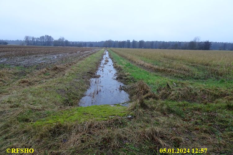 Raumholzer Wasserlauf, Zuckerlandweg