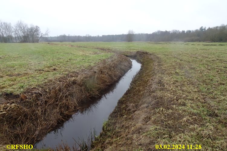 Schönewörder Talgraben, Große-Wörde