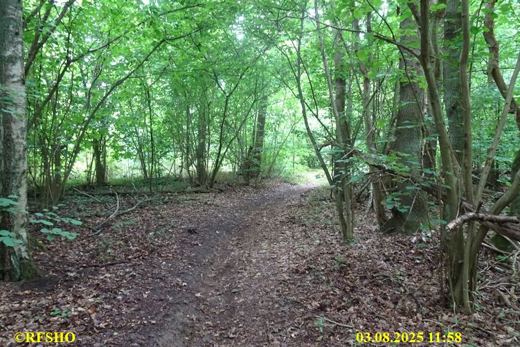 Wanderung zum Wohlenberg