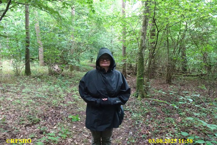 Wanderung zum Wohlenberg