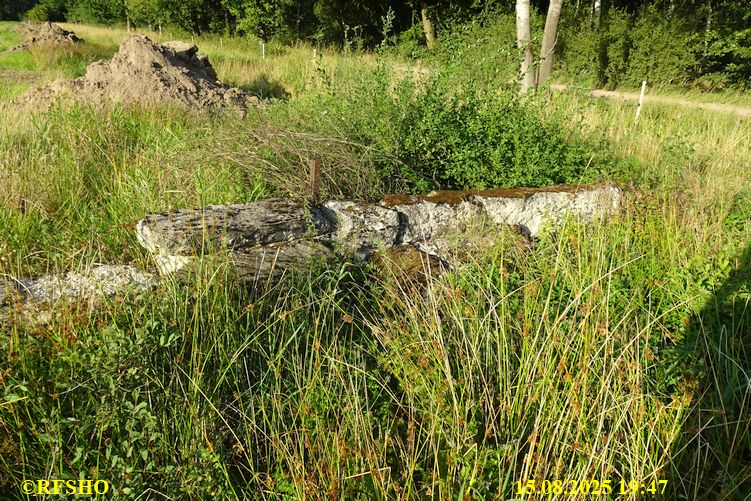 Renaturierung der Ise, altes Wehr in der ehem. Stauwiesen Anlage