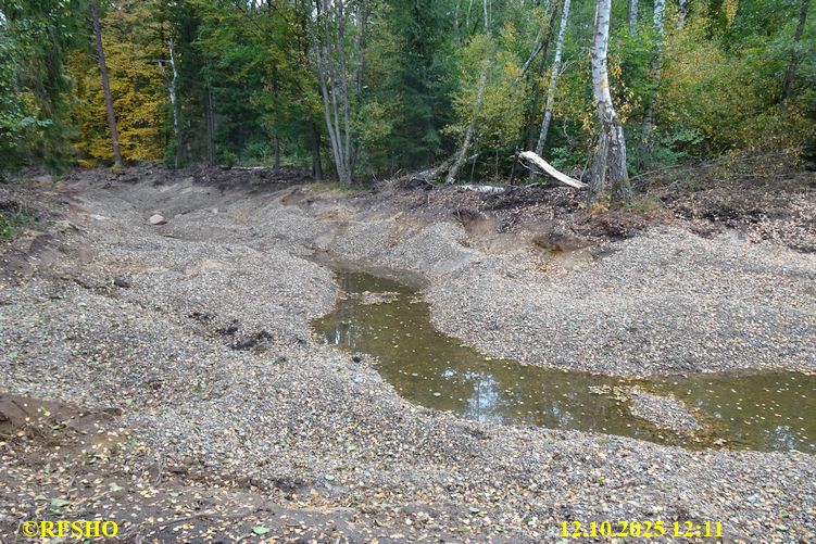 Renaturierung der Ise