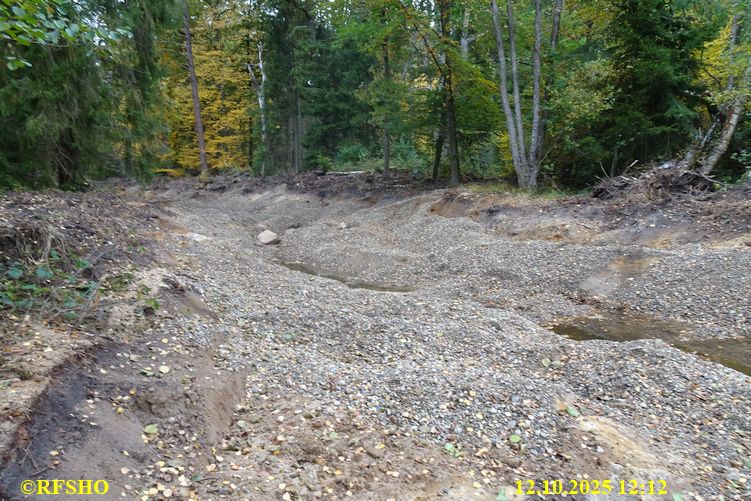 Renaturierung der Ise