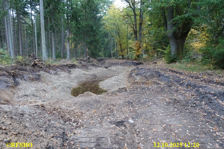 Renaturierung der Ise