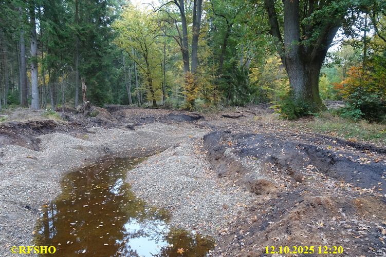 Renaturierung der Ise