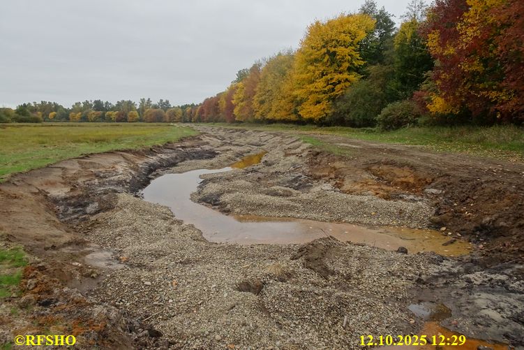 Renaturierung der Ise