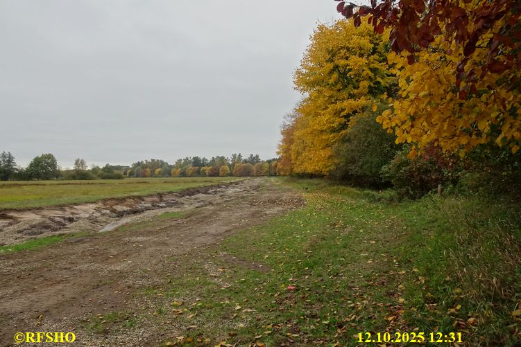 Renaturierung der Ise