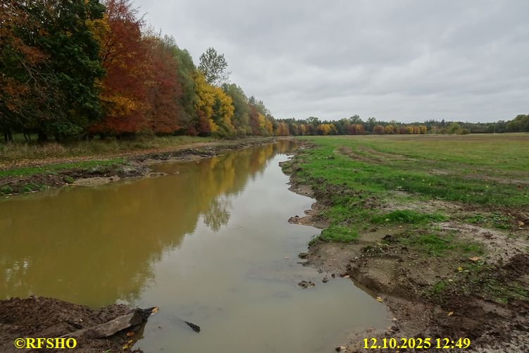 Renaturierung der Ise