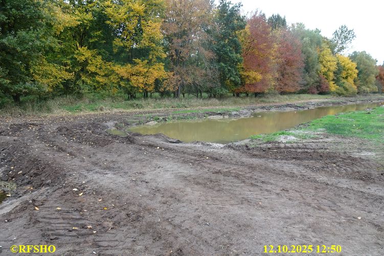 Renaturierung der Ise