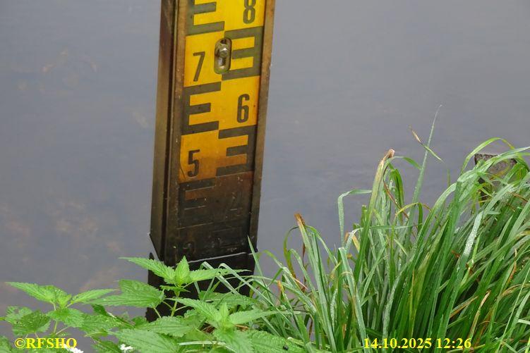 Isepegel, Lübingshorster Brücke