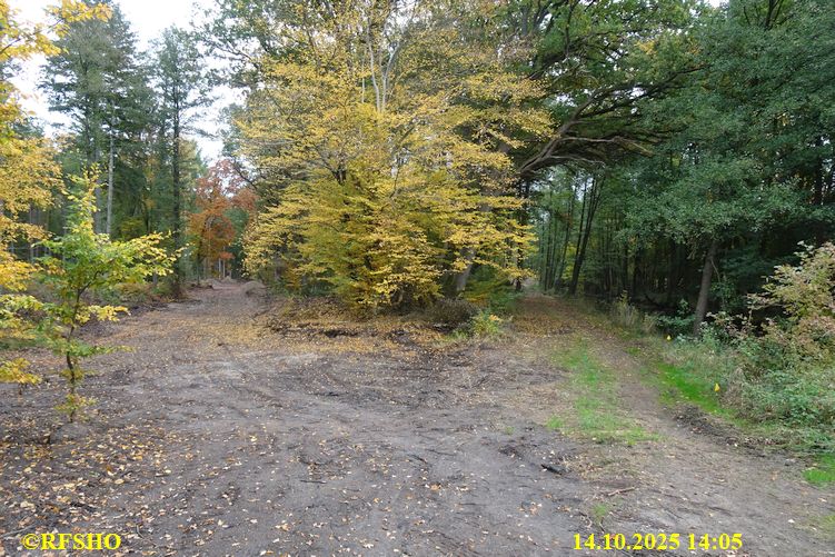 Renaturierung der Ise