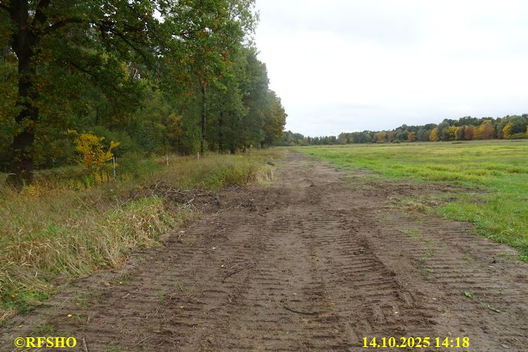 Renaturierung der Ise, altes Wehr in der ehem. Stauwiesen Anlage