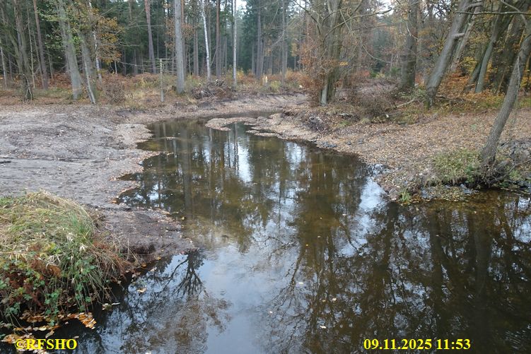 Renaturierung der Ise