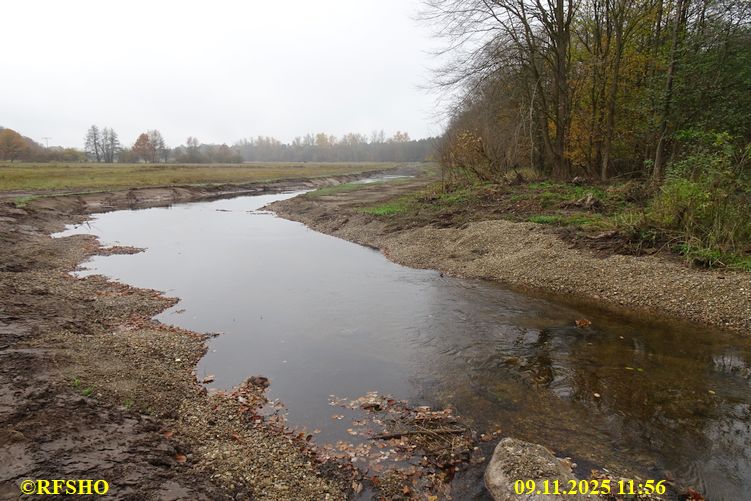 Renaturierung der Ise