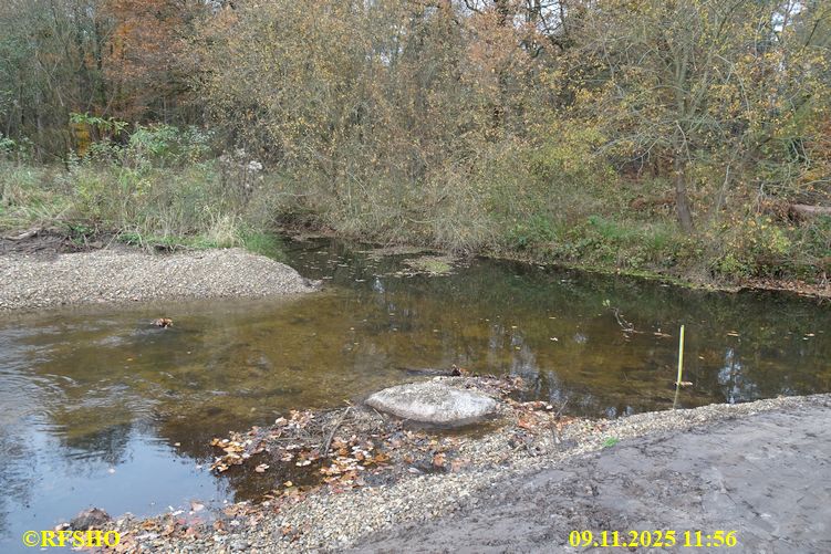 Renaturierung der Ise